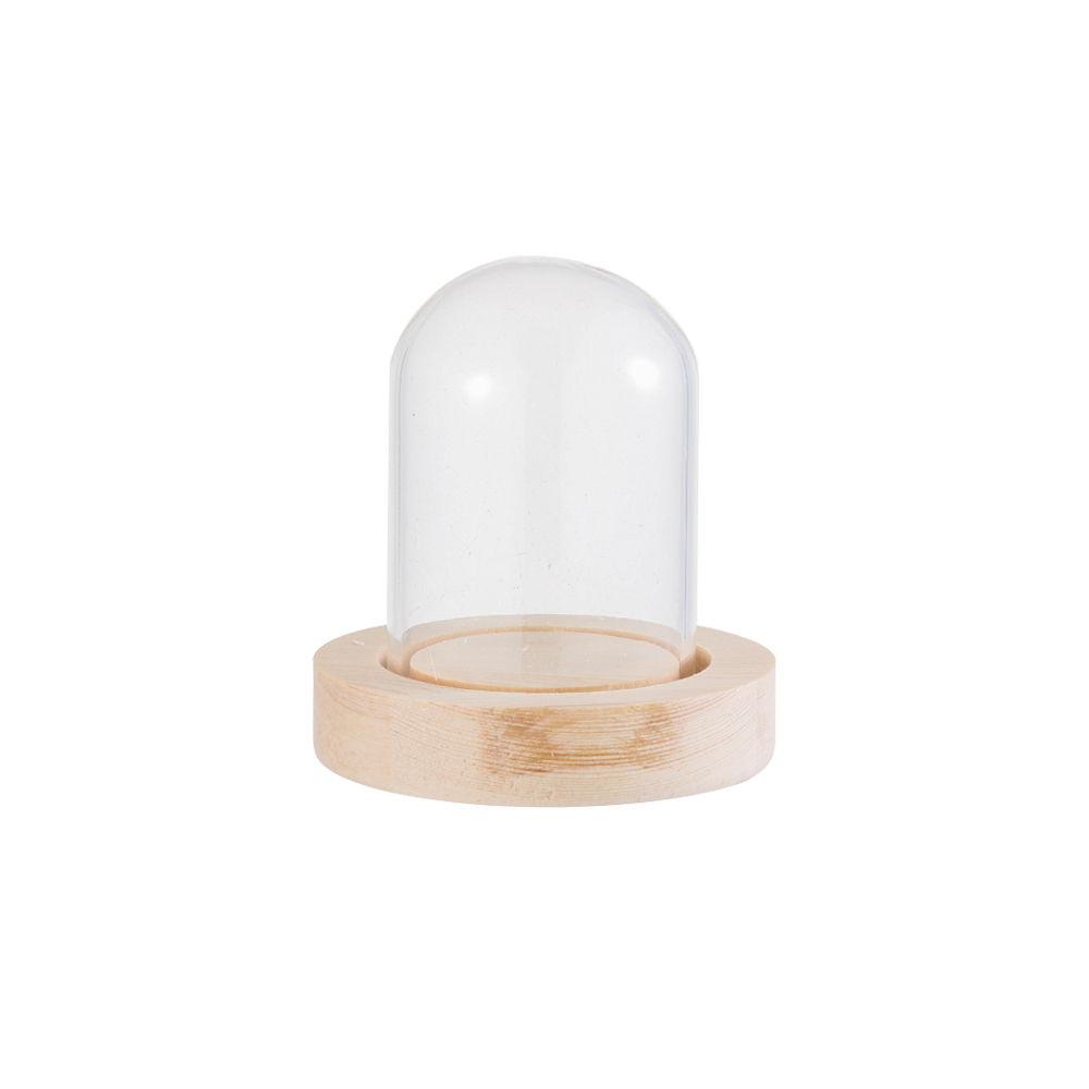 Lichterketten Heimdekoration T – Vase Decor Bewertung und Preis