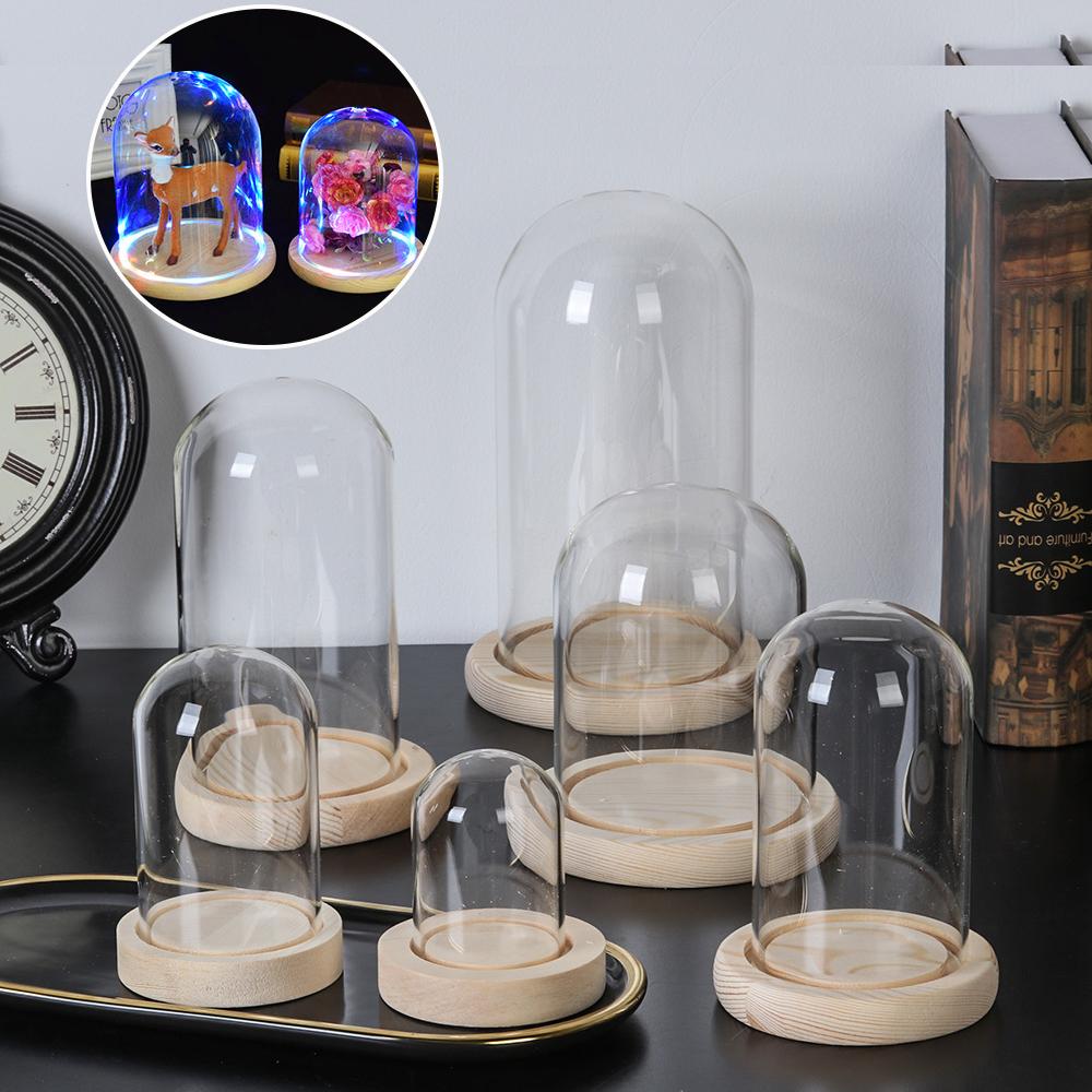 Lichterketten Heimdekoration T – Vase Decor Bewertung und Preis