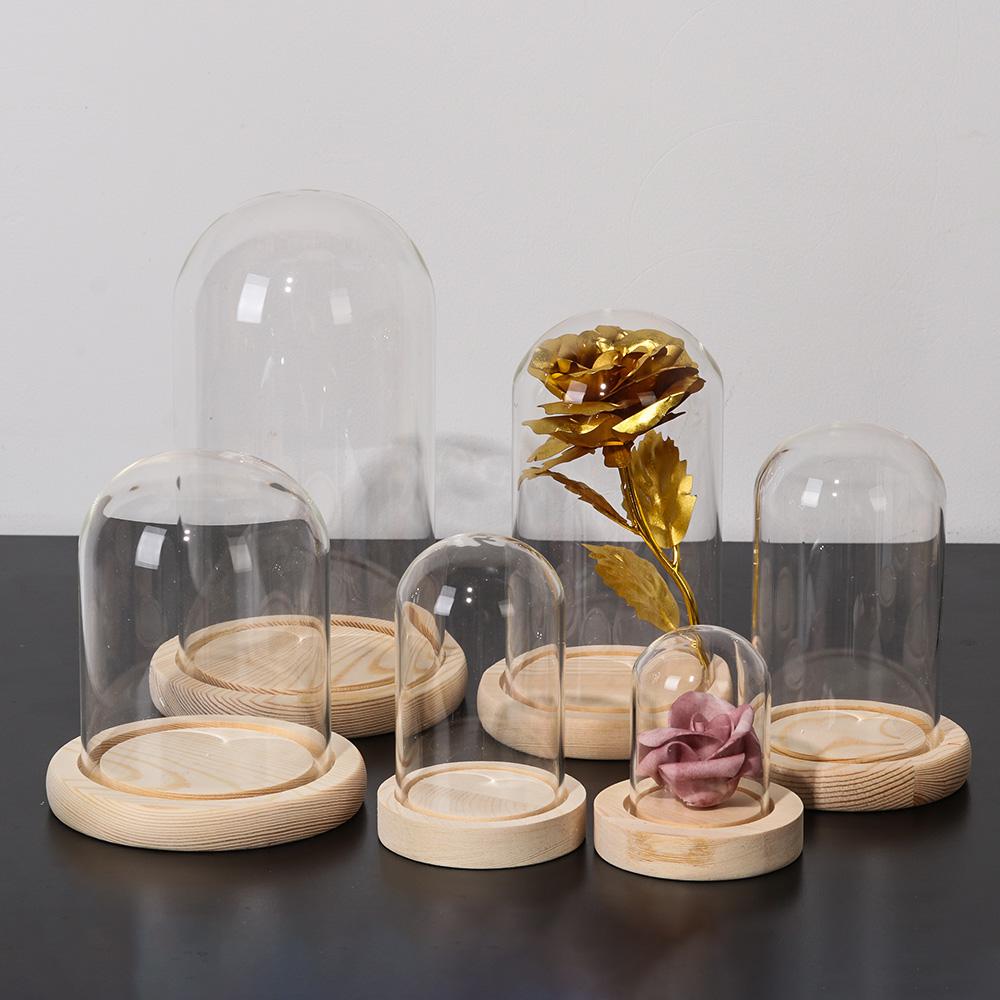 Lichterketten Heimdekoration T – Vase Decor Bewertung und Preis